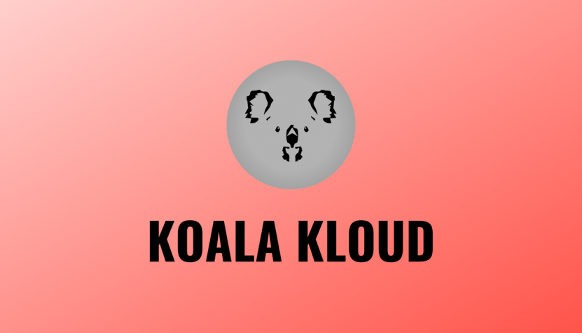Top 6 Black Friday Online Store Sales Koala Kloud